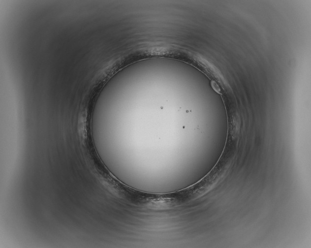 X0000113060497200909041041