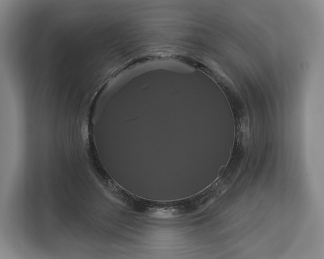 X0000113060500200909041040