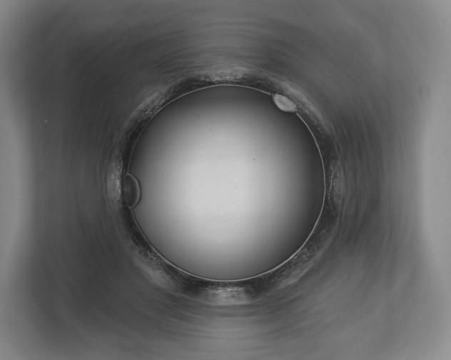 X0000113060501200909041040