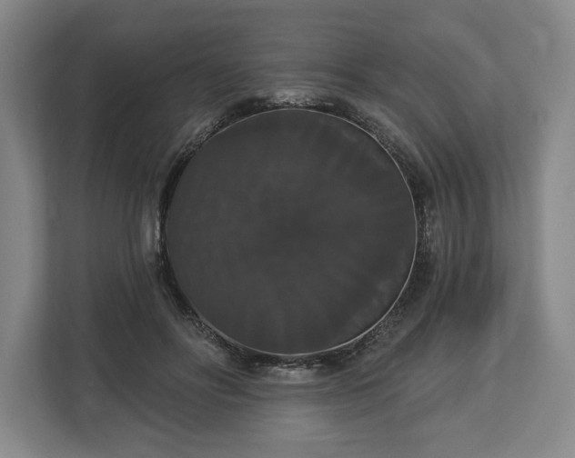 X0000113060502200909041040