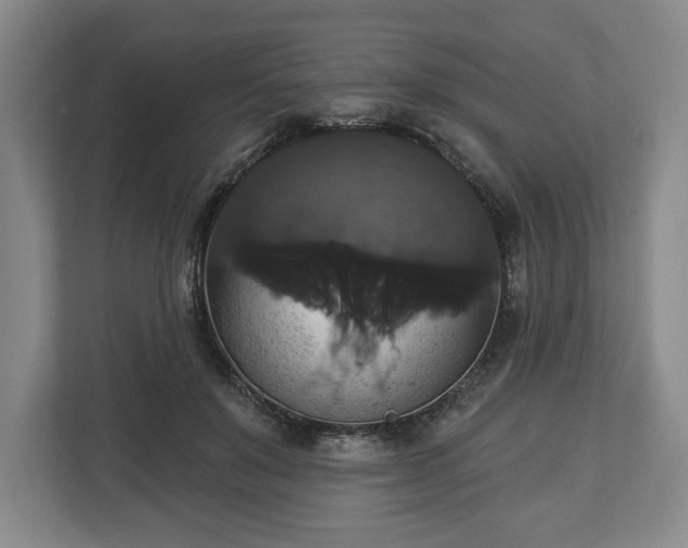 X0000113060503200909041040