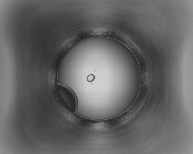 X0000113060505200909041040