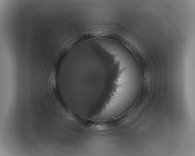 X0000113060506200909041040