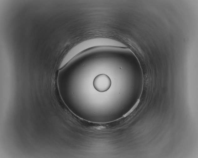X0000113060509200909041040