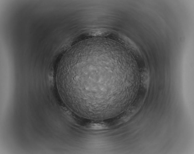 X0000113060510200909041040