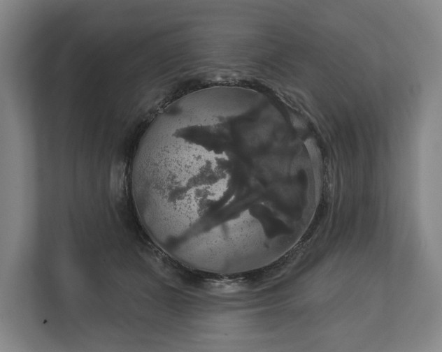 X0000113060511200909041040