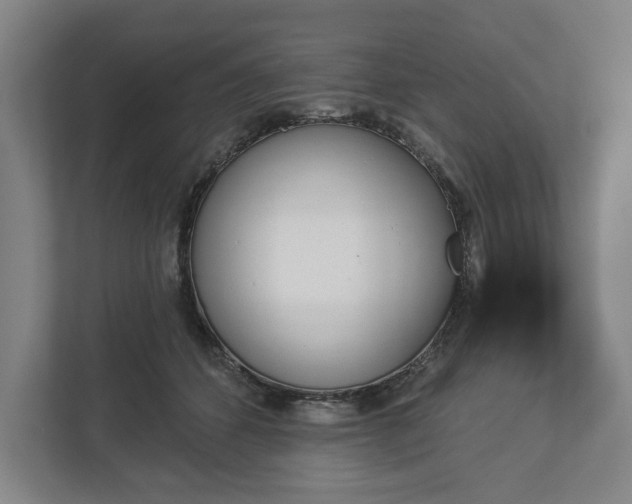 X0000113060512200909041040