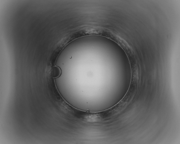X0000113060513200909041040