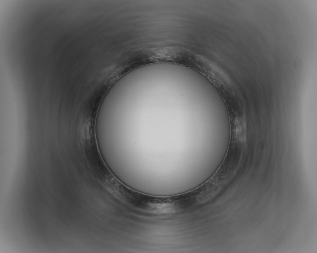 X0000113060514200909041040