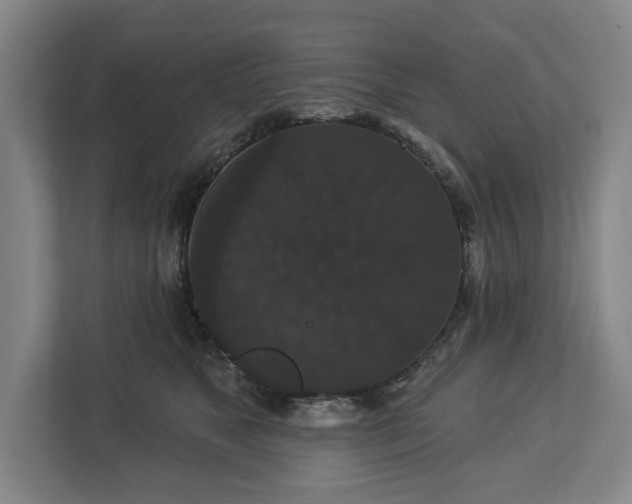 X0000113060517200909041040