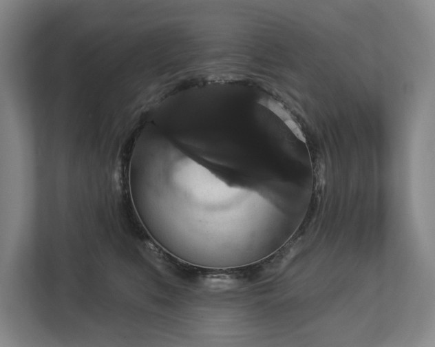 X0000113060519200909041040