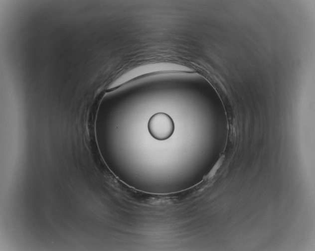 X0000113060520200909041040