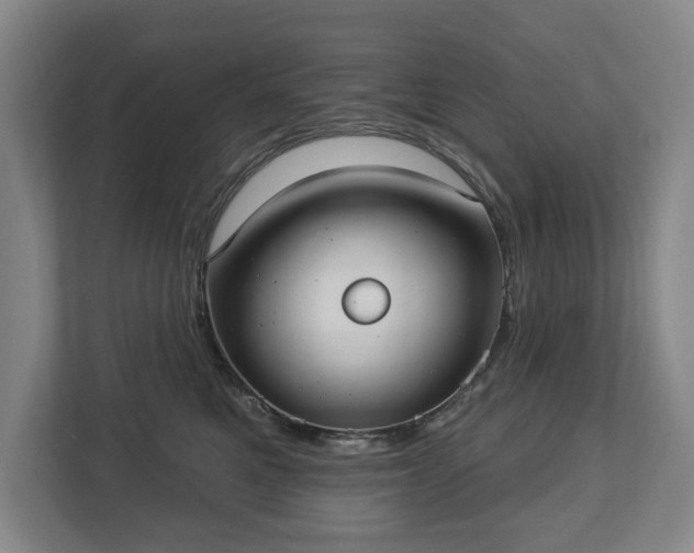 X0000113060521200909041040
