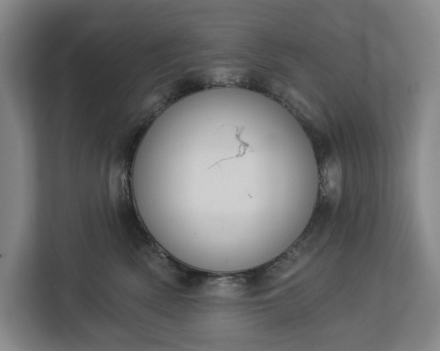 X0000113060522200909041040