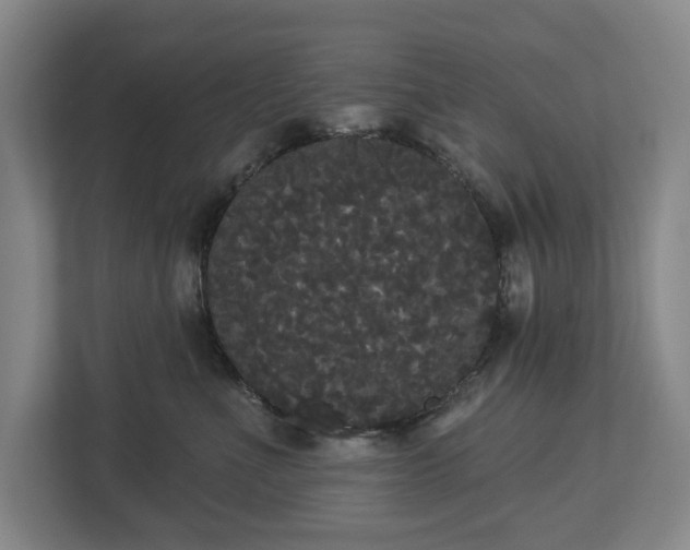 X0000113060523200909041040