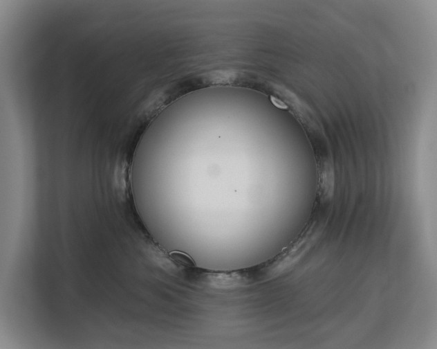 X0000113060525200909041040