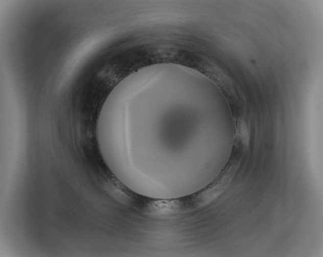 X0000113060526200909041040