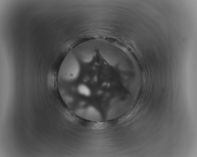 X0000113060527200909041040
