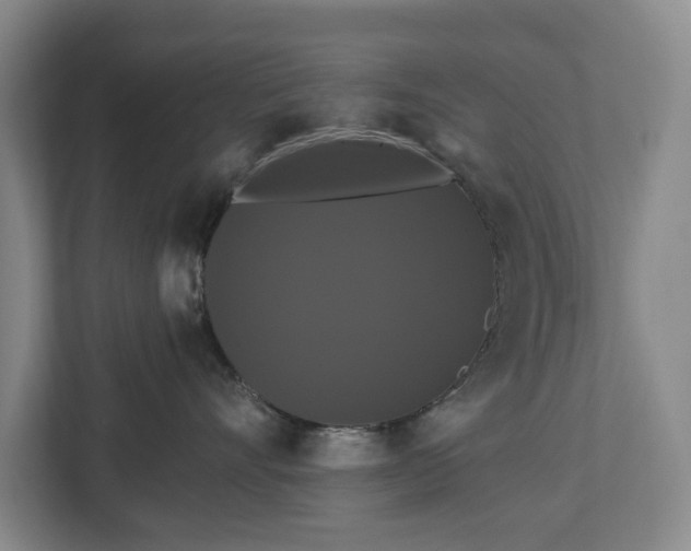 X0000113060528200909041040