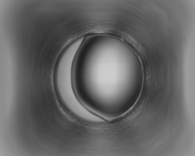 X0000113060530200909041040