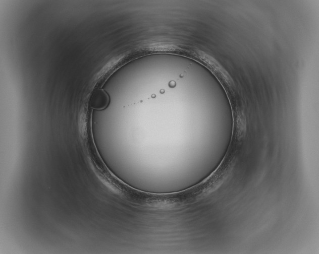 X0000113060533200909041040