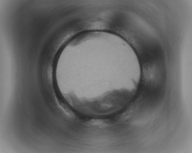 X0000113060534200909041040