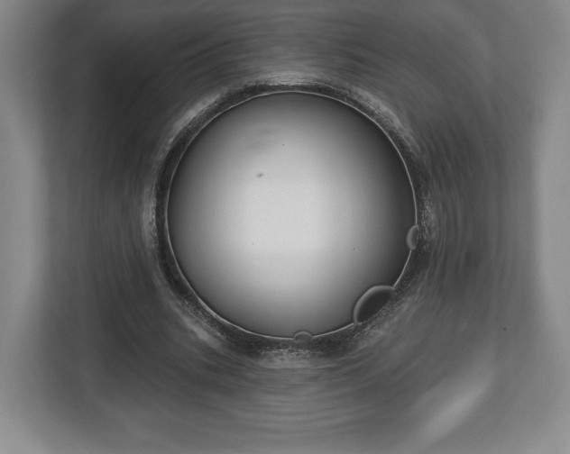 X0000113060535200909041040