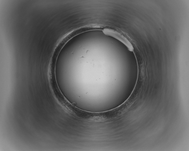 X0000113060536200909041040