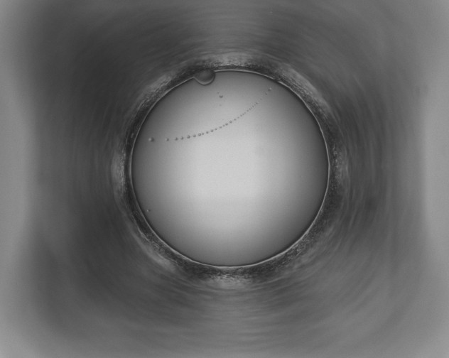 X0000113060537200909041040
