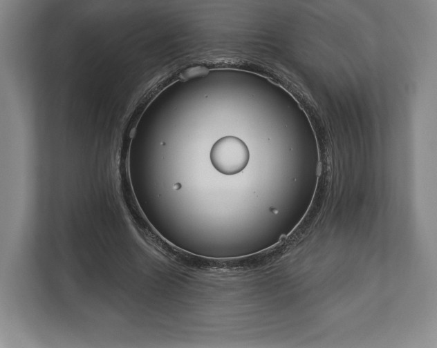 X0000113060538200909041040