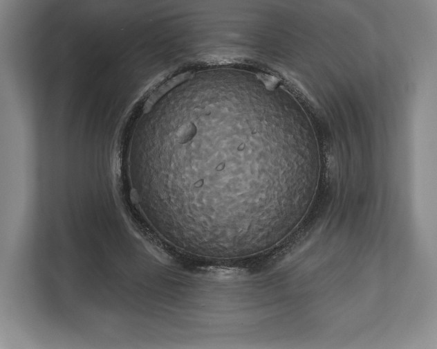 X0000113060539200909041040