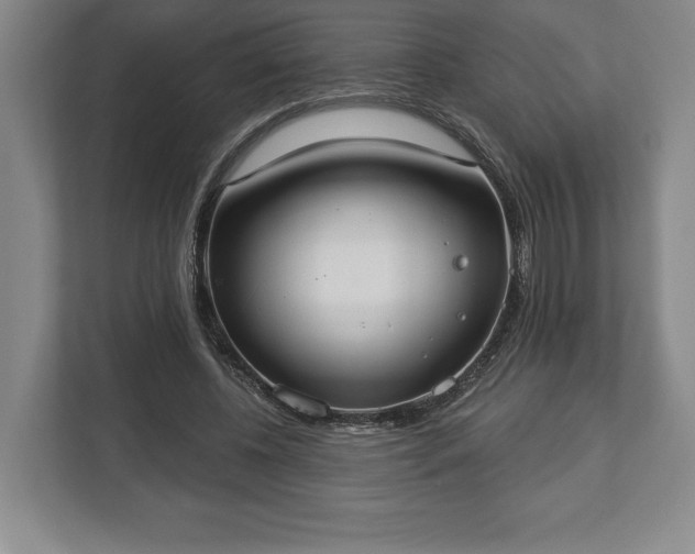 X0000113060540200909041040