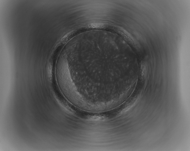 X0000113060542200909041040