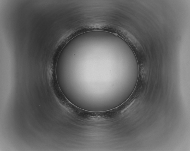 X0000113060544200909041040