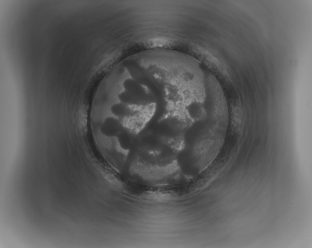 X0000113060545200909041040