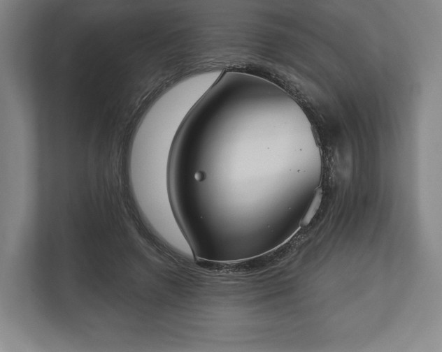 X0000113060546200909041040