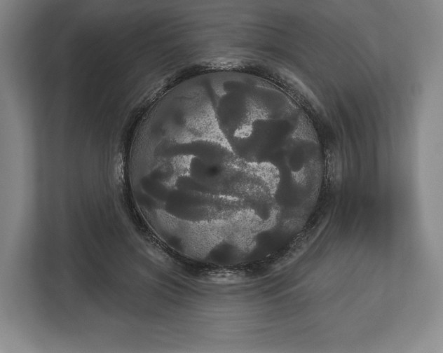 X0000113060549200909041040