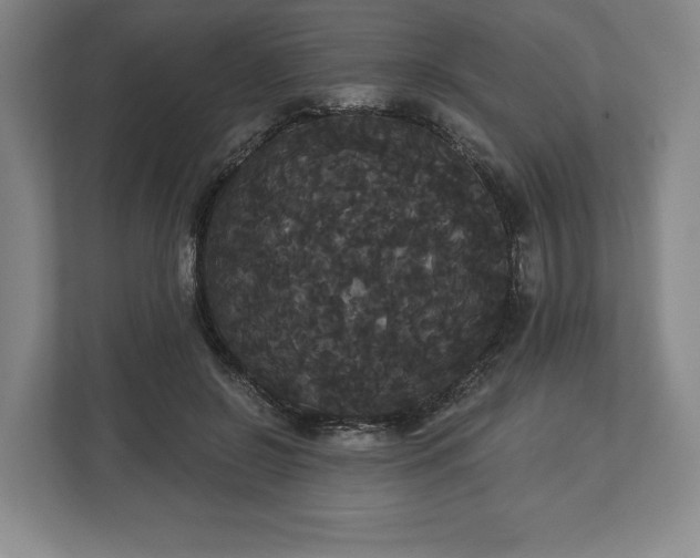 X0000113060550200909041040