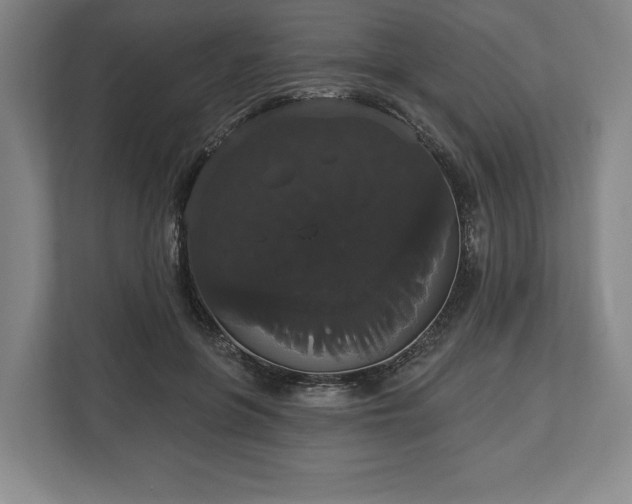 X0000113060551200909041040