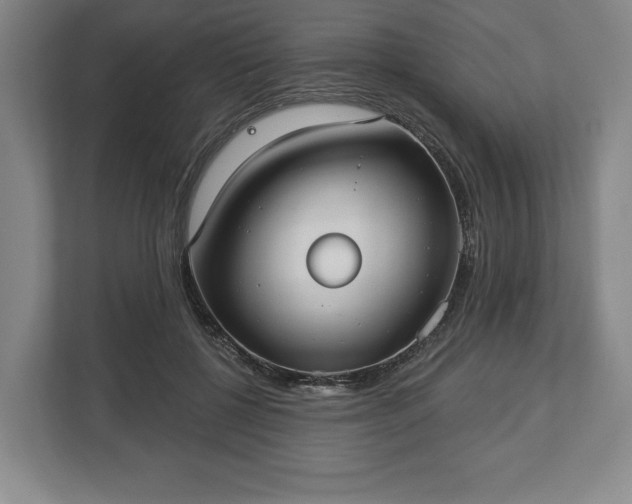 X0000113060552200909041040