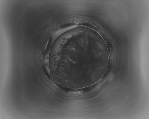 X0000113060553200909041040