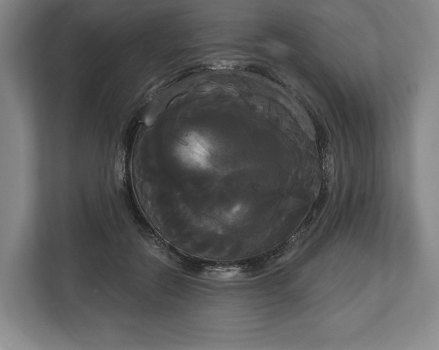 X0000113060554200909041040