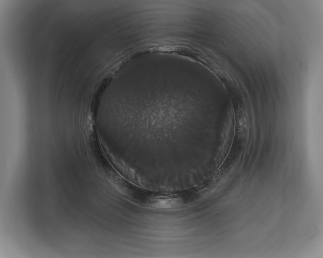 X0000113060555200909041040