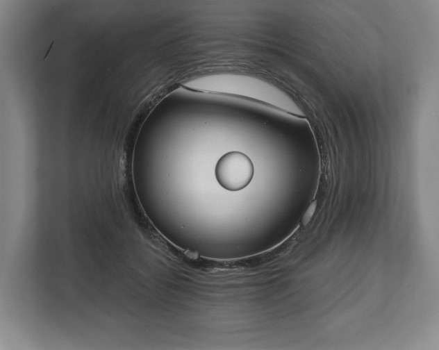 X0000113060556200909041040