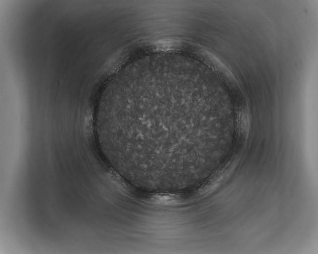 X0000113060557200909041040