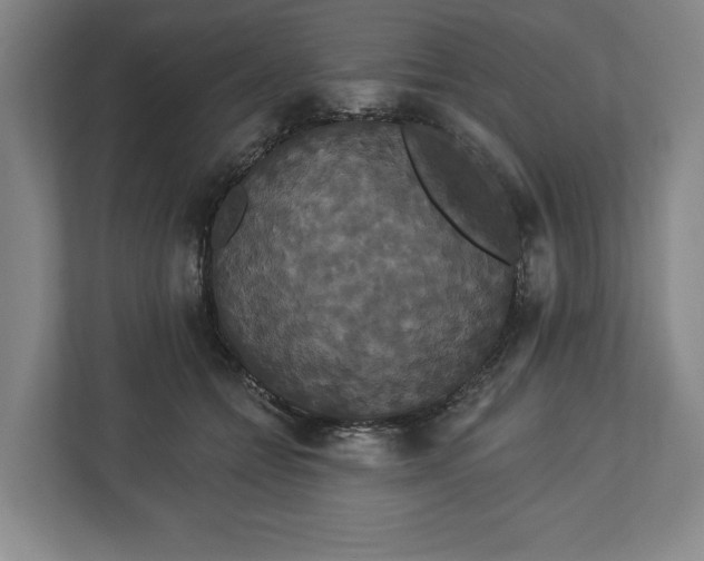 X0000113060558200909041040
