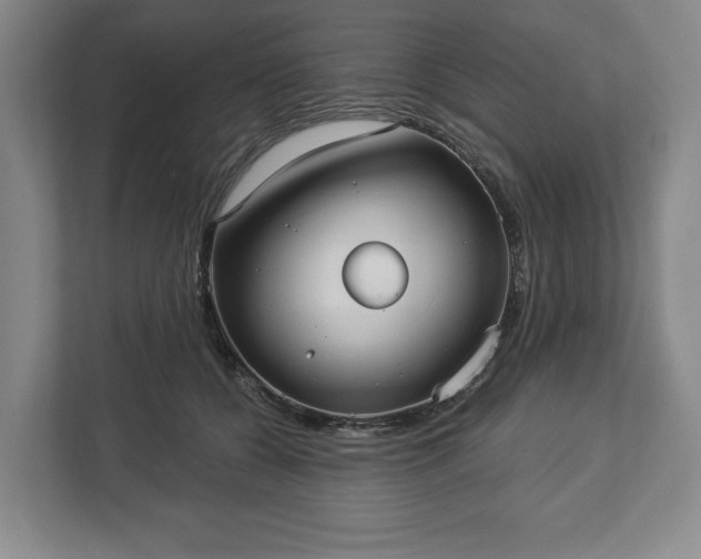 X0000113060560200909041040