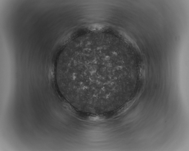 X0000113060561200909041040