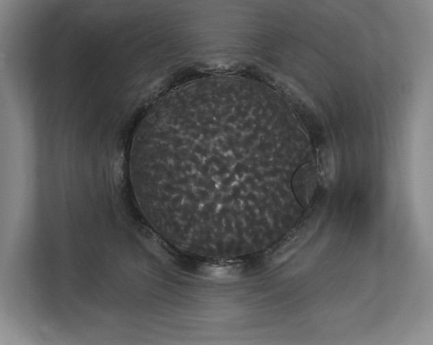 X0000113060563200909041040