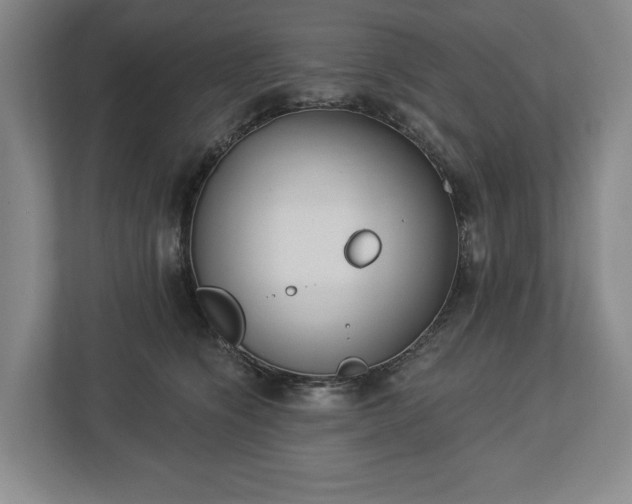 X0000113060564200909041040